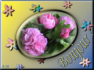 Bonjour les ami(e)s